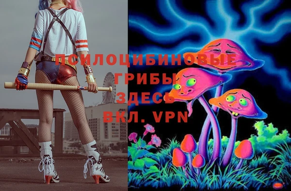 стаф Алексеевка