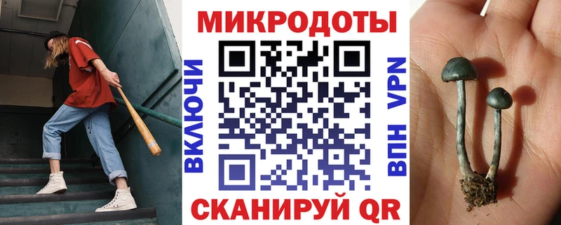 это как зайти  Бакал  Псилоцибиновые грибы Psilocybe  omg онион 