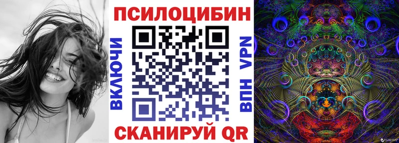 Псилоцибиновые грибы мухоморы Бакал